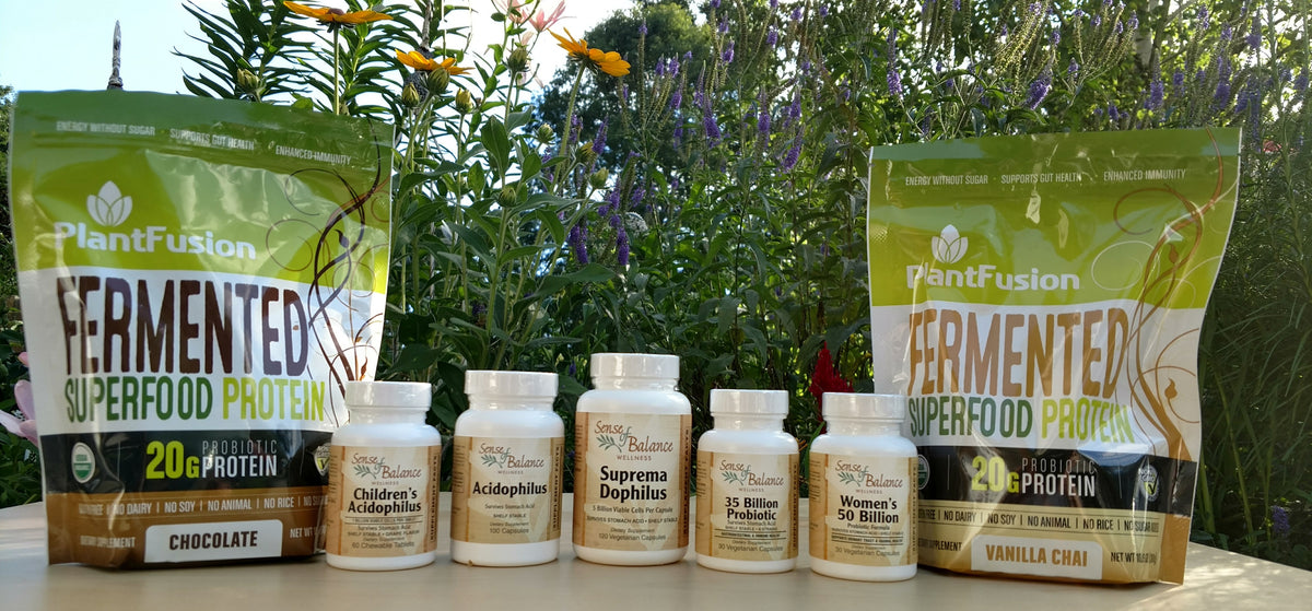 Probiotics: A Beginners Guide