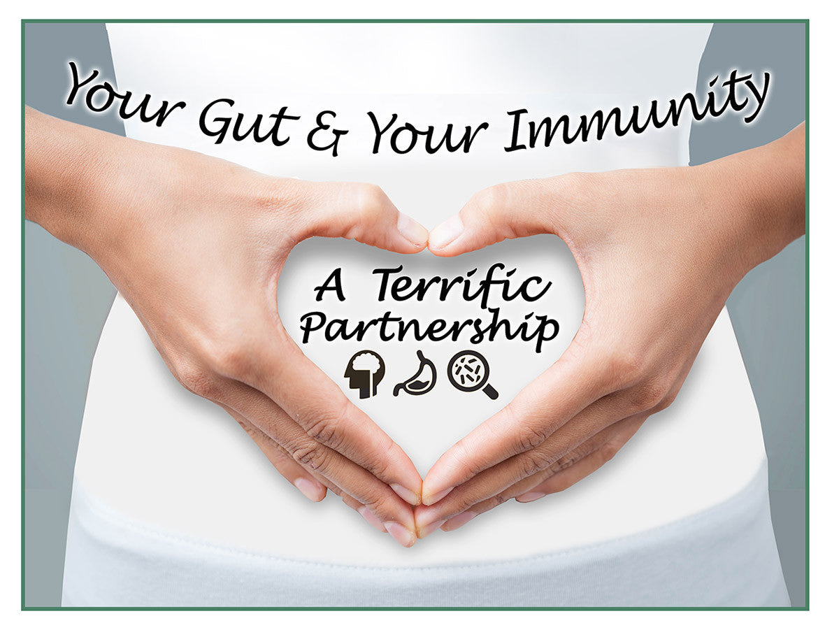 Your Gut & Your Immunity Seminar