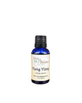 Ylang Ylang Essential Oil