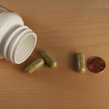 Olive Leaf 500mg - Sense of Balance Wellness LLC
 - 3